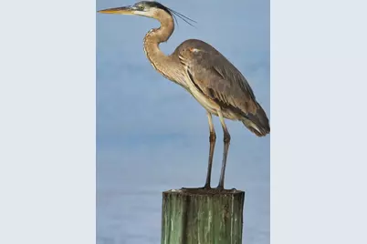 2426 Cr 297, Sargent, TX 77414 - Photo 33