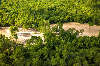 9349 Us-190 W, Livingston, TX 77351 - Photo 7