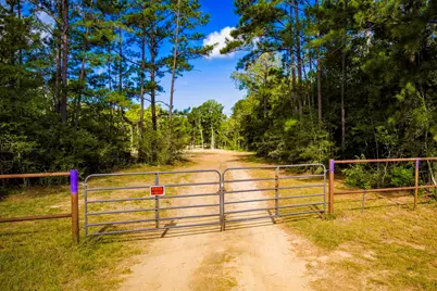 9349 Us-190 W, Livingston, TX 77351 - Photo 3