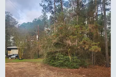 Lot 8 Soapberry Lane, Plantersville, TX 77363 - Photo 9