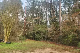 Lot 8 Soapberry Ln, Plantersville, TX 77363 - Photo 1