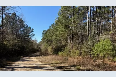 Tbd Preacher Denson Road, Coldspring, TX 77331 - Photo 5