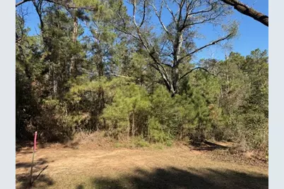 Tbd Preacher Denson Road, Coldspring, TX 77331 - Photo 7