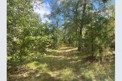 4304 Farm Market 352, Corrigan, TX 75939 - Photo 35