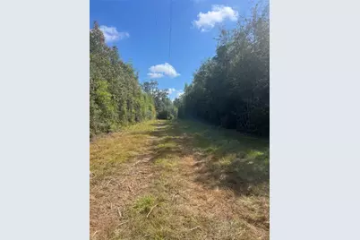 4304 Farm Market 352, Corrigan, TX 75939 - Photo 23