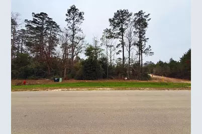 15663 Ridge Rock Road, Willis, TX 77378 - Photo 9