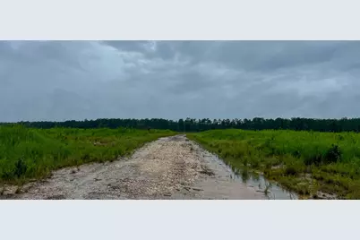 8 Sunflower Road, Livingston, TX 77351 - Photo 5