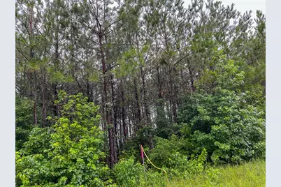 8 Sunflower Road, Livingston, TX 77351 - Photo 7