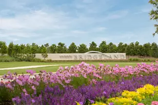 10714 Yellow Wild Indigo Ln, Cypress, TX 77433 - Photo 17