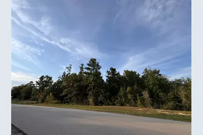 126 Iron Horse Road, Willis, TX 77378 - Photo 7