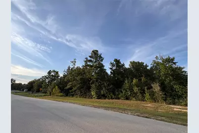 126 Iron Horse Road, Willis, TX 77378 - Photo 5
