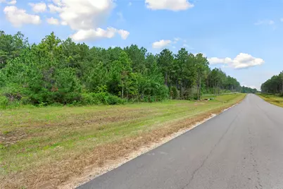 15899 Wood Grove Way, Willis, TX 77378 - Photo 13