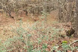 Tbd Cr 1150, Woodville, TX 75979 - Photo 25