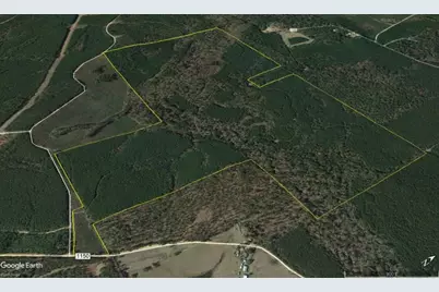 Tbd Cr 1150, Woodville, TX 75979 - Photo 5