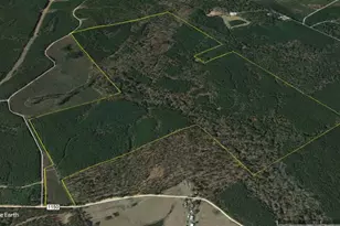 Tbd Cr 1150, Woodville, TX 75979 - Photo 5