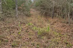Tbd Cr 1150, Woodville, TX 75979 - Photo 27