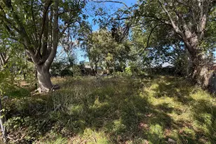 3517 Jipsie Ln, Houston, TX 77051 - Photo 7