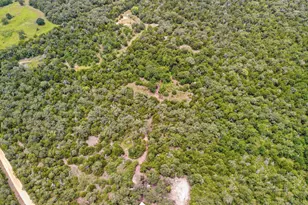 8187 Co Rd 342, Milano, TX 76556 - Photo 21