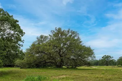 2570 Burke Road, Flatonia, TX 78941 - Photo 3