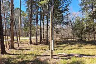 750 Morris Creek Rd, Coldspring, TX 77331 - Photo 1