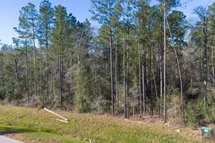 11623 Dawn Tree Ln, Willis, TX 77378 - Photo 9