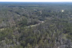 11623 Dawn Tree Ln, Willis, TX 77378 - Photo 23