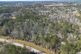 11623 Dawn Tree Ln, Willis, TX 77378 - Photo 1