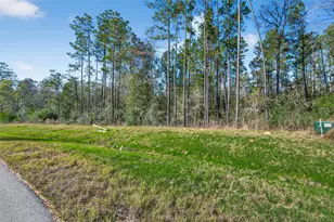 11623 Dawn Tree Ln, Willis, TX 77378 - Photo 7