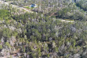 11623 Dawn Tree Ln, Willis, TX 77378 - Photo 25