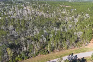 11623 Dawn Tree Ln, Willis, TX 77378 - Photo 29