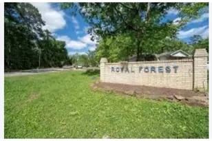 0 Royal Creek Rd, Conroe, TX 77303 - Photo 1