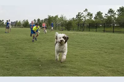 31423 Splitting Willow Way, Fulshear, TX 77441 - Photo 31