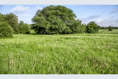 Tract 3 S Nassau Road, Round Top, TX 78954 - Photo 5