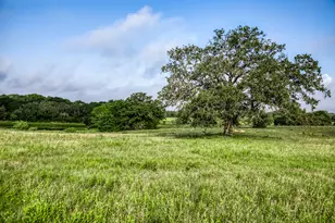 Tract 3 S Nassau Rd, Round Top, TX 78954 - Photo 1