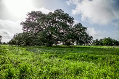 Tract 3 S Nassau Road, Round Top, TX 78954 - Photo 7