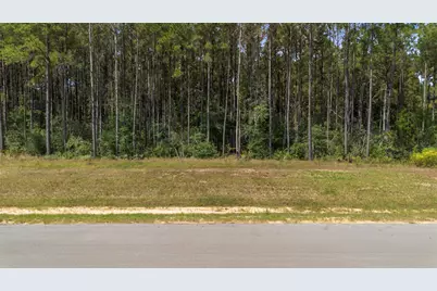 15896 Ridge Oak Road, Willis, TX 77378 - Photo 21