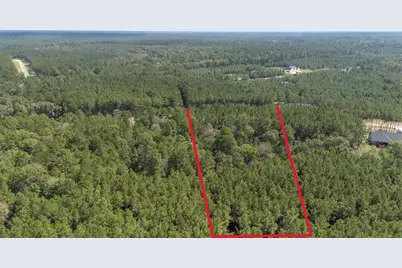 15896 Ridge Oak Road, Willis, TX 77378 - Photo 17