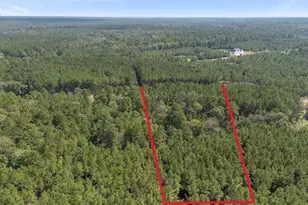 15896 Ridge Oak Rd, Willis, TX 77378 - Photo 17