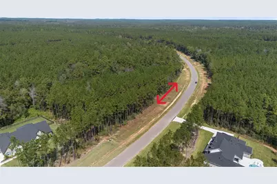 15896 Ridge Oak Road, Willis, TX 77378 - Photo 11