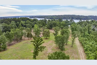 9.363 Acres Fm 229, Grapeland, TX 75844 - Photo 7