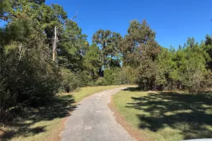 24879 Macedonia Rd, Hockley, TX 77447 - Photo 13