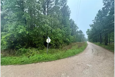 0 Meadowlark Lane, Livingston, TX 77351 - Photo 3