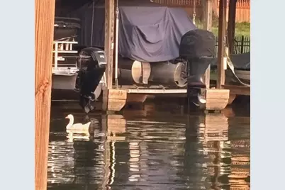 289 Bayview Lane, Livingston, TX 77351 - Photo 47