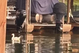 289 Bayview Ln, Livingston, TX 77351 - Photo 47