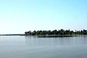 289 Bayview Ln, Livingston, TX 77351 - Photo 45