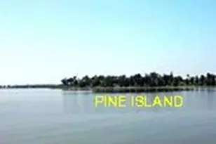 289 Bayview Ln, Livingston, TX 77351 - Photo 49