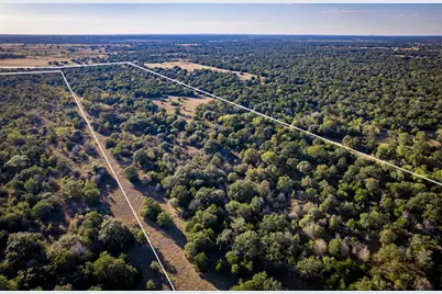 1625 Shaws Bend Road, Columbus, TX 78934 - Photo 3