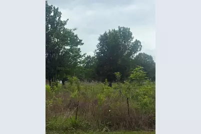 0 County Road 2500, Liberty, TX 77575 - Photo 3