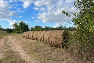 28144 Morton Rd, Katy, TX 77493 - Photo 11