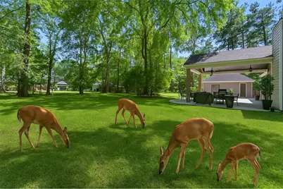 502 Garrett Drive, Magnolia, TX 77354 - Photo 15